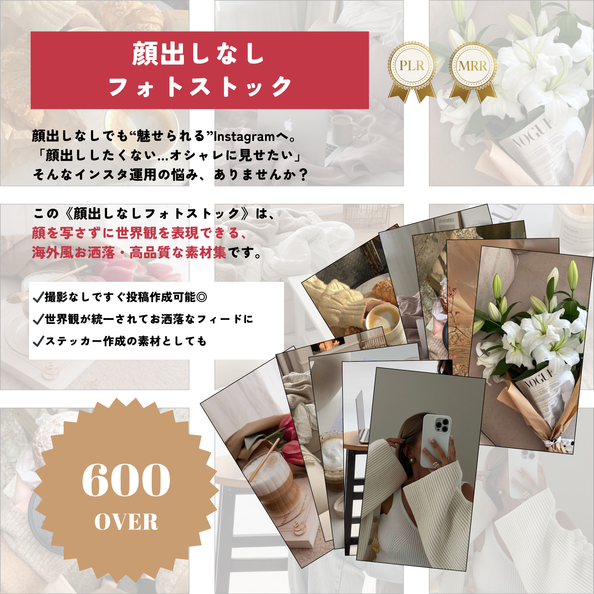 【再販売OK】Digital Contents Perfect Pack