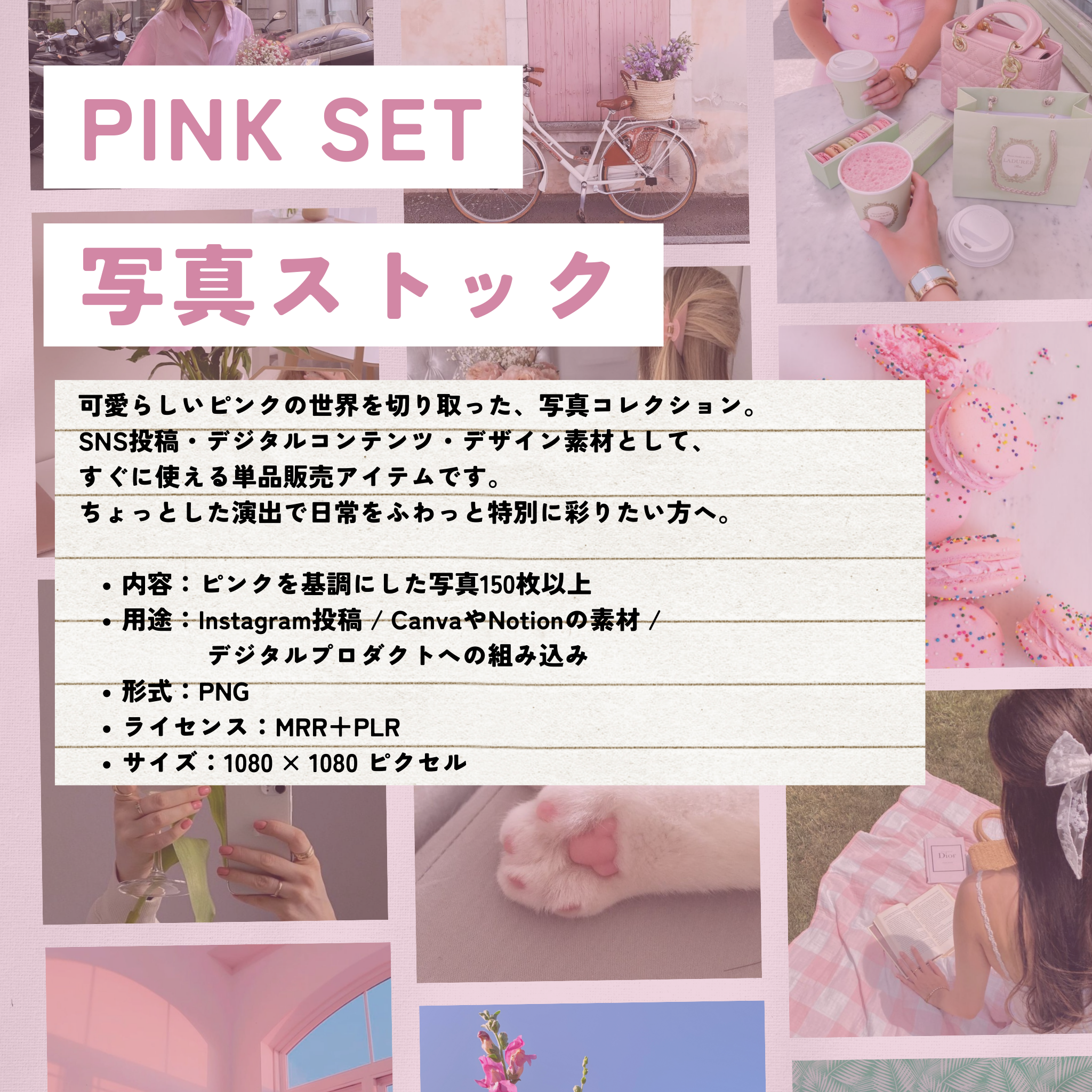 【再販売OK】PINK SET 写真ストック　150